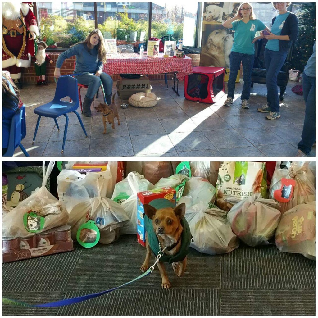 Giving Tree ASPCA The Y in Pasadena